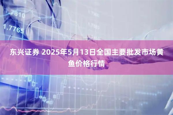 东兴证券 2025年5月13日全国主要批发市场黄鱼价格行情