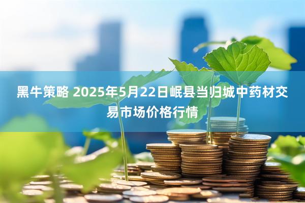 黑牛策略 2025年5月22日岷县当归城中药材交易市场价格行情