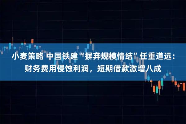 小麦策略 中国铁建“摒弃规模情结”任重道远：财务费用侵蚀利润，短期借款激增八成